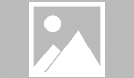 日女人b视频,揭秘日本女性生活与时尚潮流